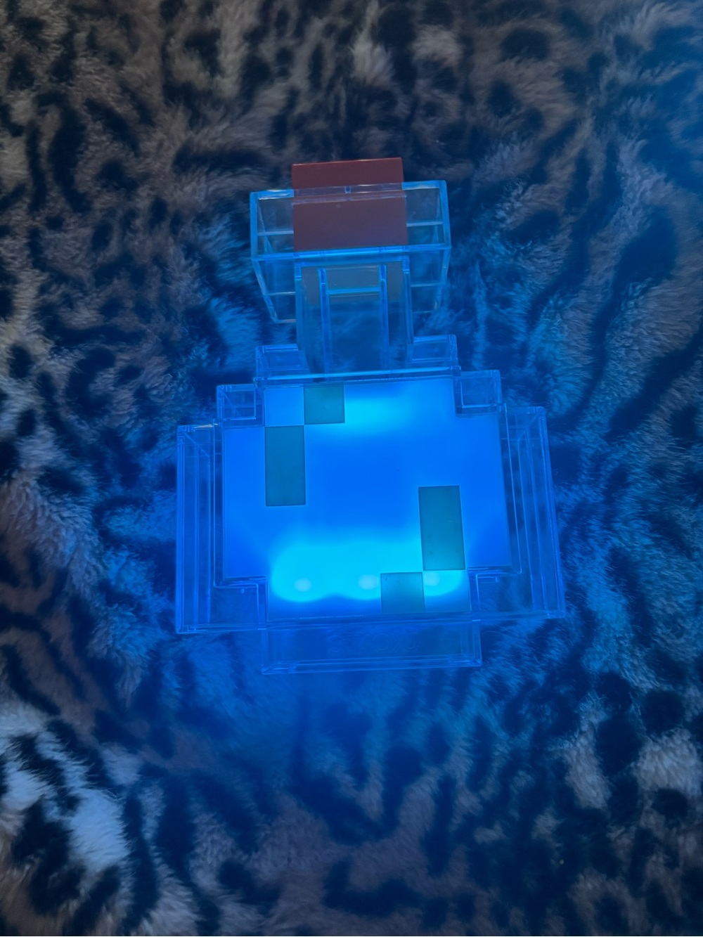 Bottle Minecraft land LED RANBOW rare